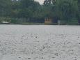 Waaltje26